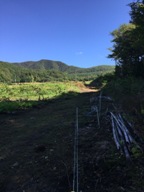 ここを登ると鬼五郎渓谷へ