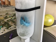 自然科学部